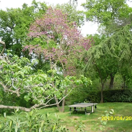 La Chapelle Du Prieure *